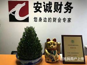 楊浦區(qū)審計驗資、注銷變更與財務咨詢，專業(yè)服務找安誠財務王會計